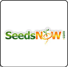 Seeds Now
